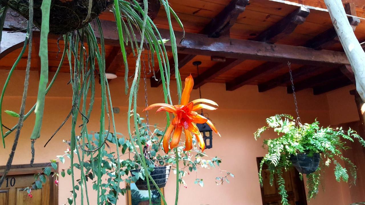 Posada Papa Chepe La Esperanza Buitenkant foto